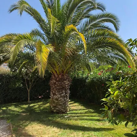 Avec Piscine Saint-raphael Villa Saint-Raphael (Var)