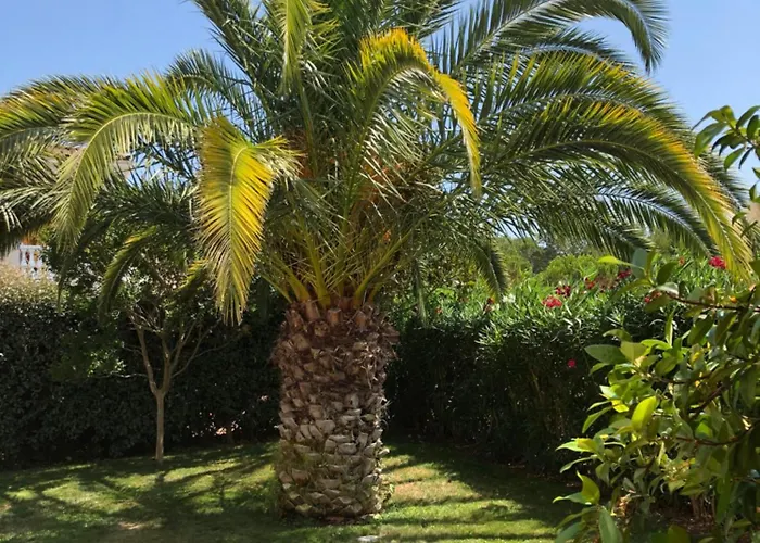 Avec Piscine Saint-raphael Villa Saint-Raphael (Var)